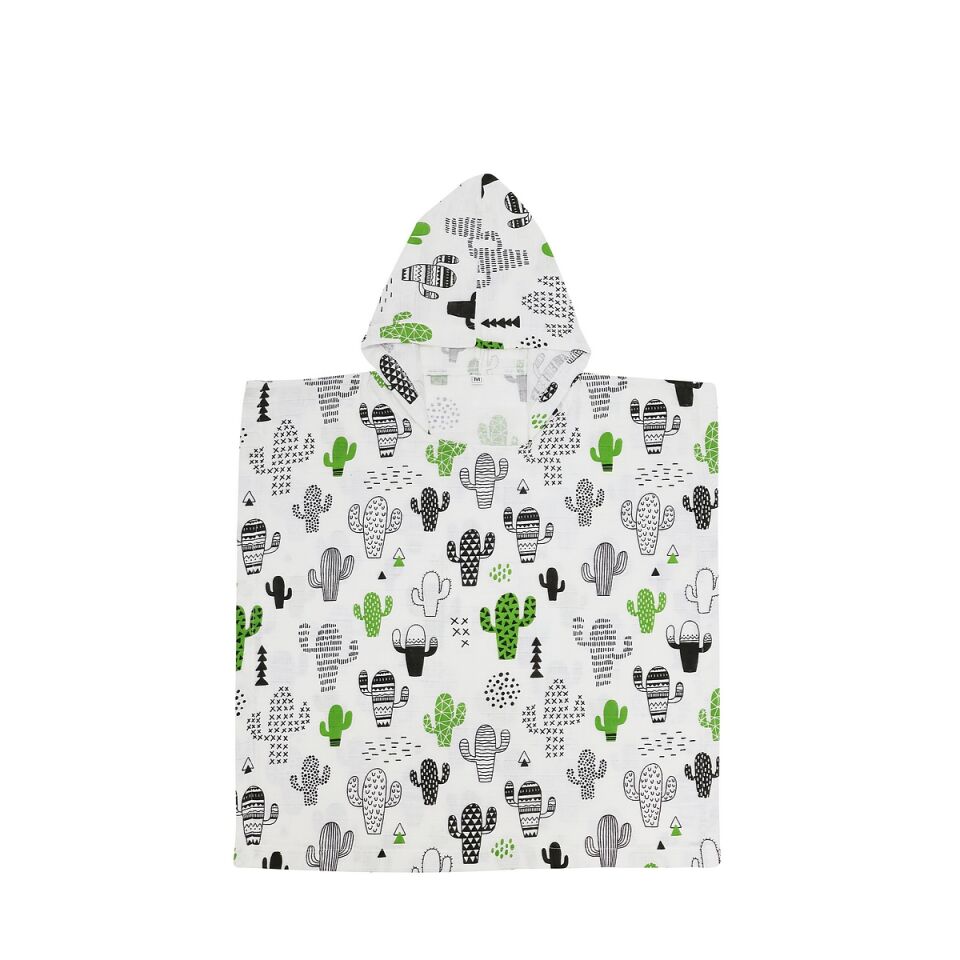 Minicik Kaktüs Bahçesi Panço