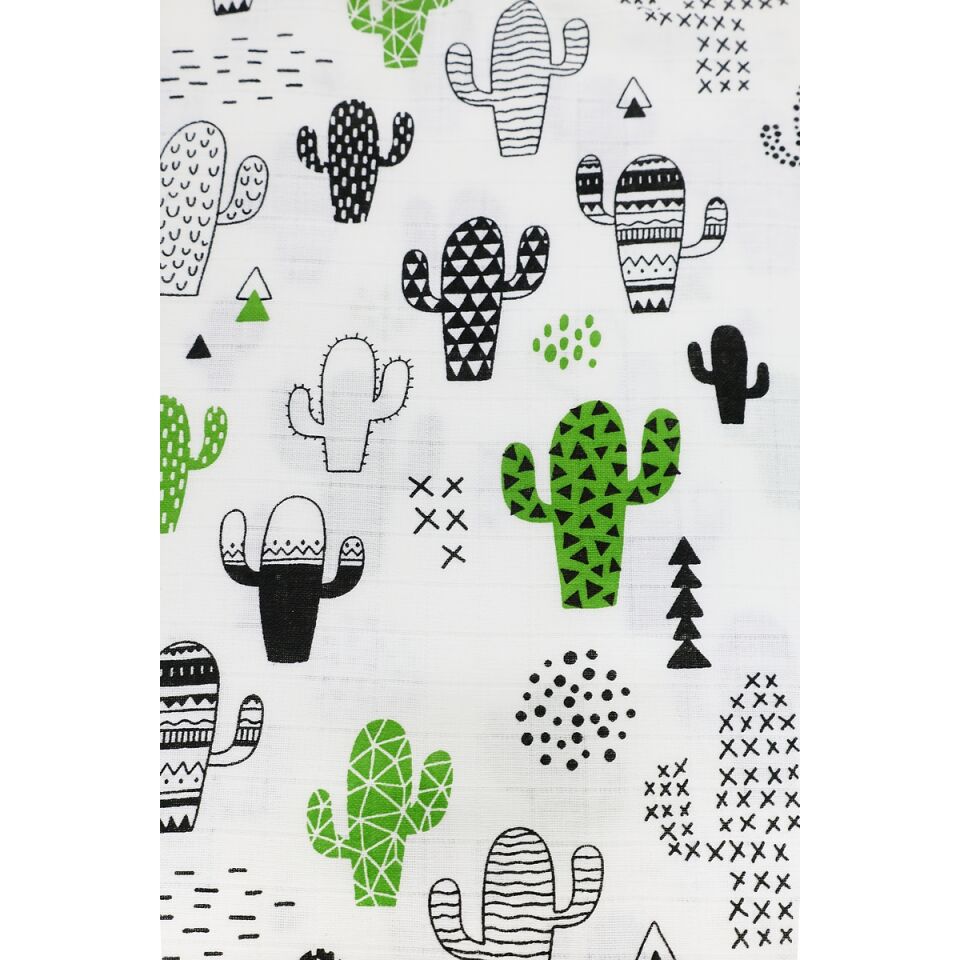 Minicik Kaktüs Bahçesi Panço