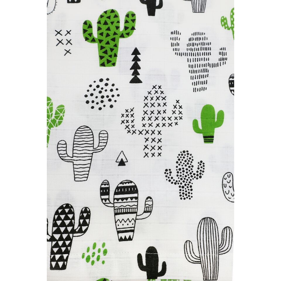 Minicik Kaktüs Bahçesi Panço