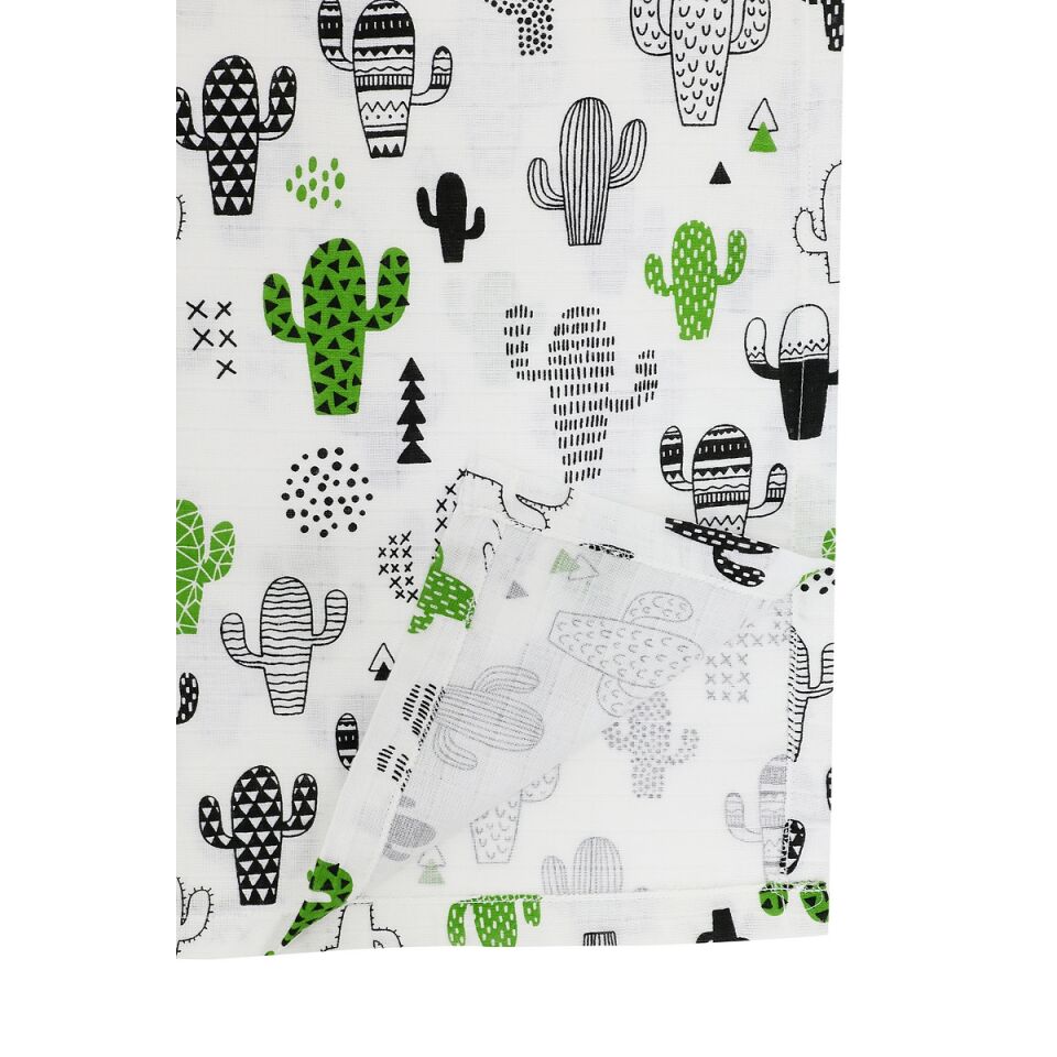 Minicik Kaktüs Bahçesi Panço